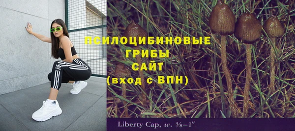 первитин Алексин